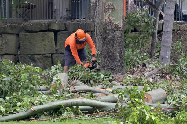 Best Tree Preservation Services  in Garretson, SD